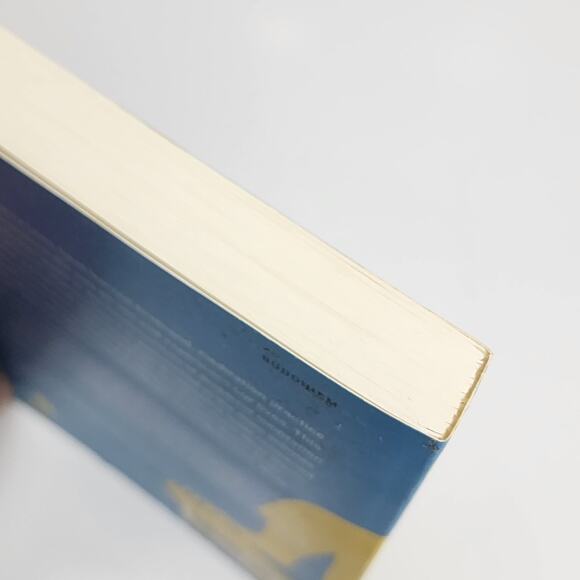 A Beginner's Guide to Meditation Practical Advice and Inspiration Paperback Book - Picture 4 of 7